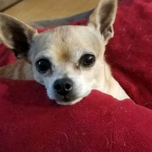 Meet your Posher, Wendy